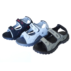 Сланцы сборные